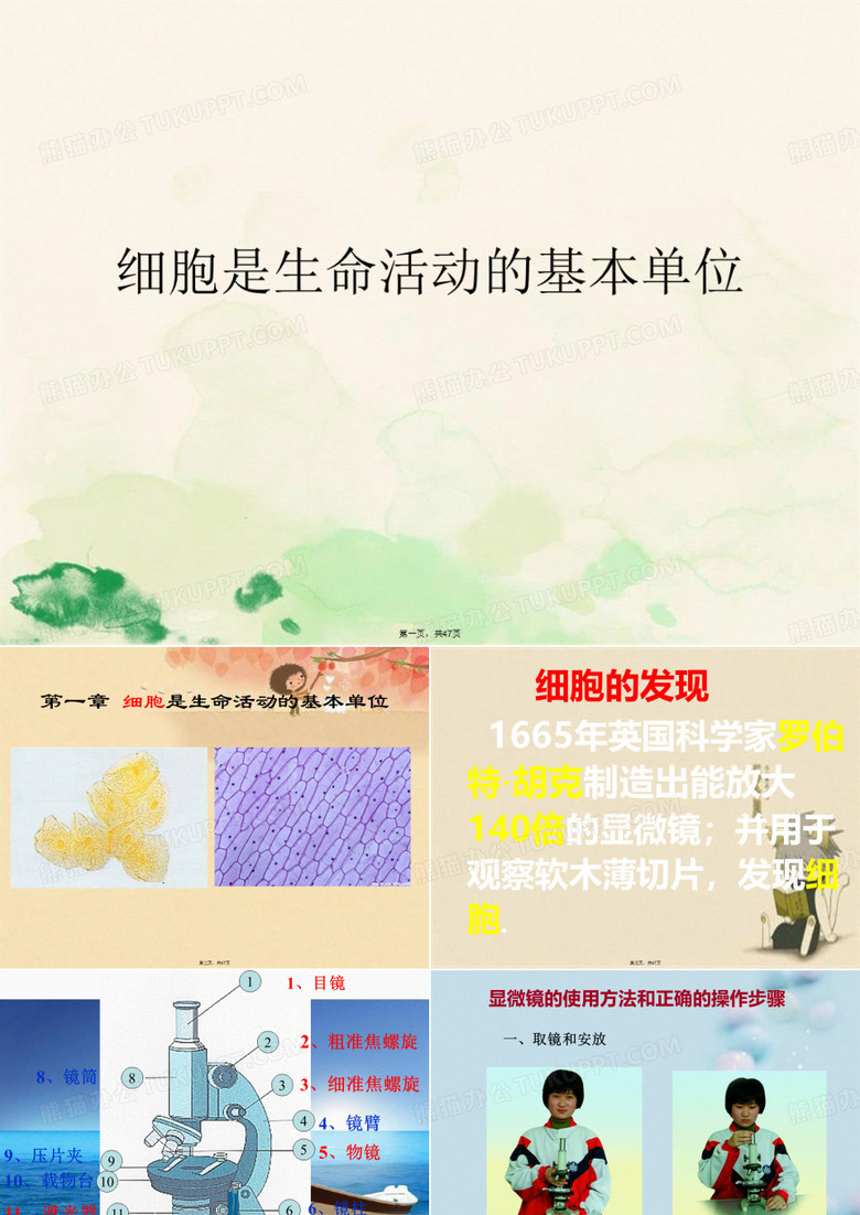 细胞是生命活动的基本单位