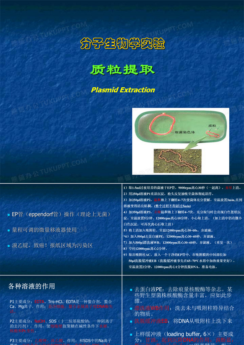 质粒提取