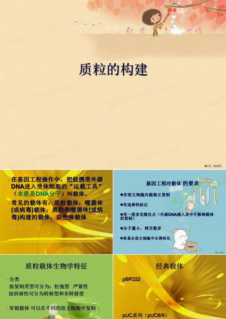 质粒的构建