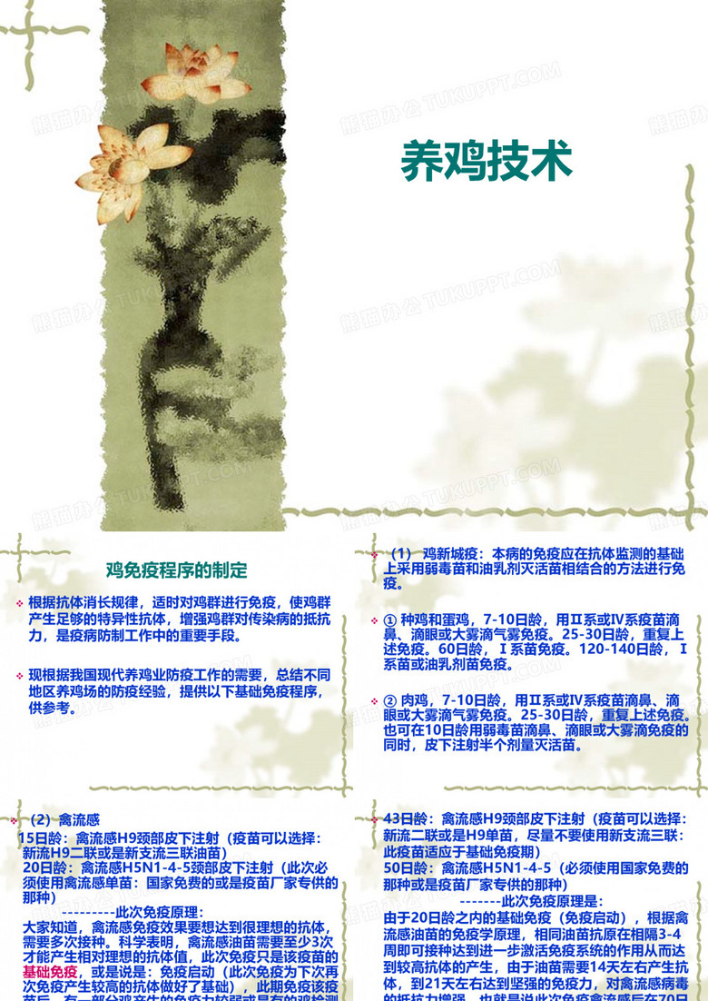 养鸡技术