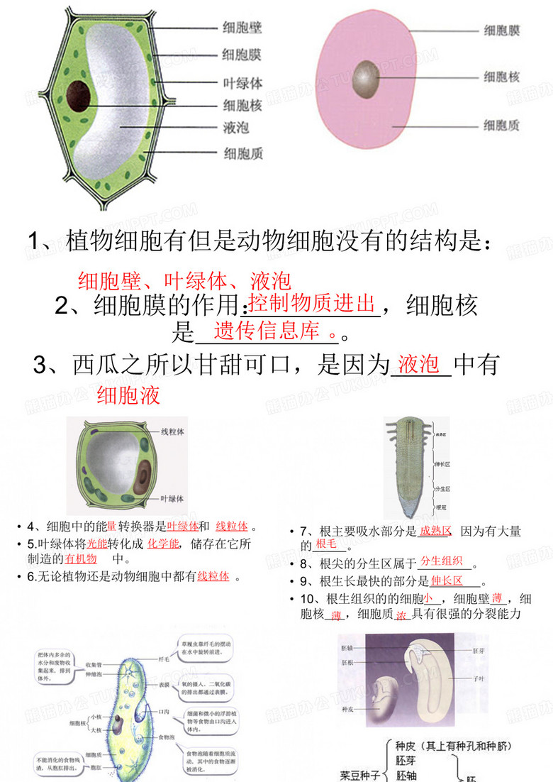 初中生物课本图片[1]