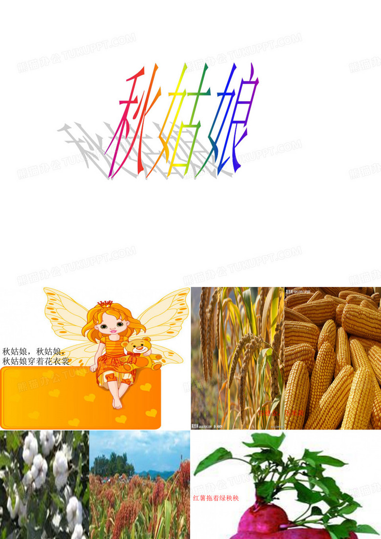 秋姑娘课件