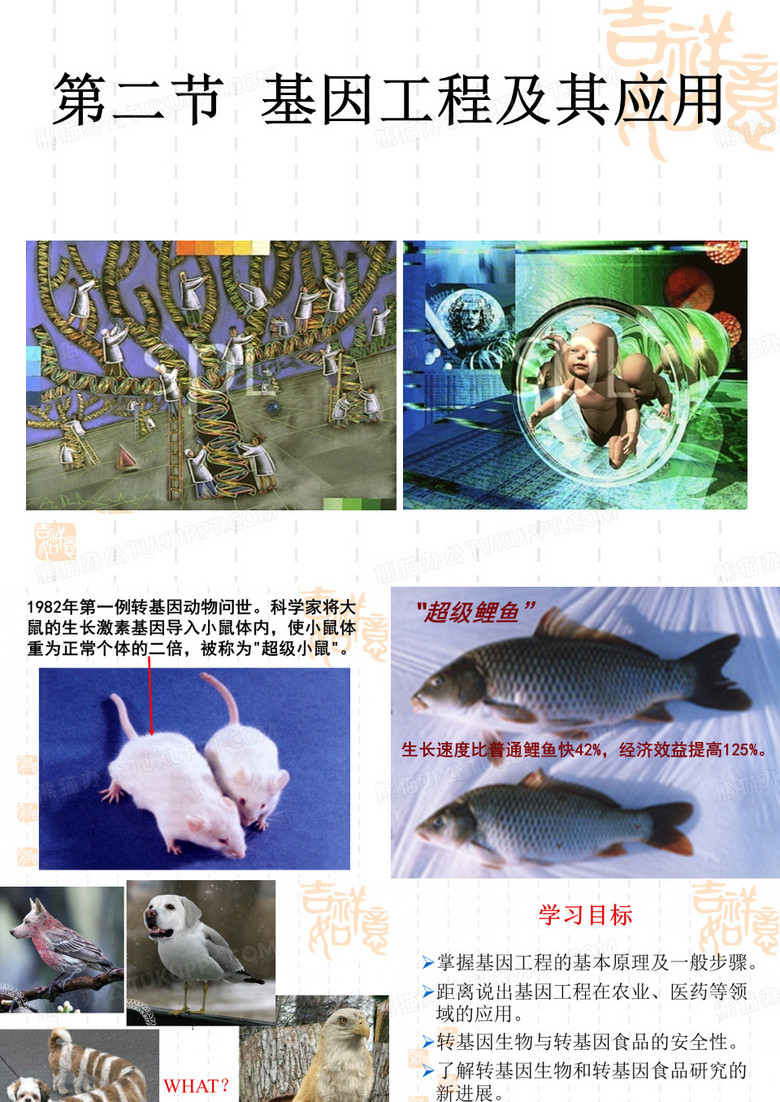 基因工程及其应用