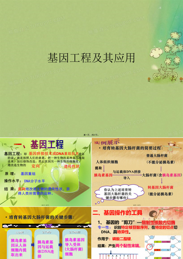 基因工程及其应用