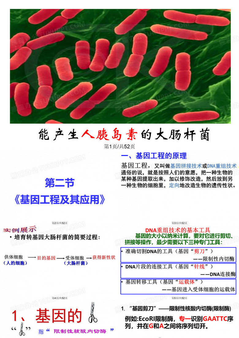 基因工程及其应用