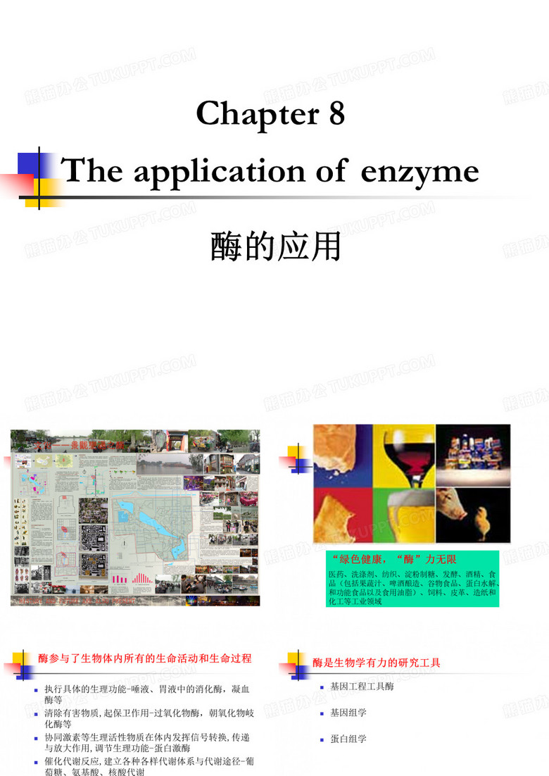 南京林业大学酶工程-酶的应用