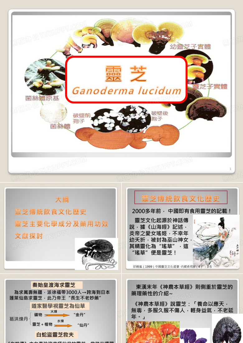 灵芝