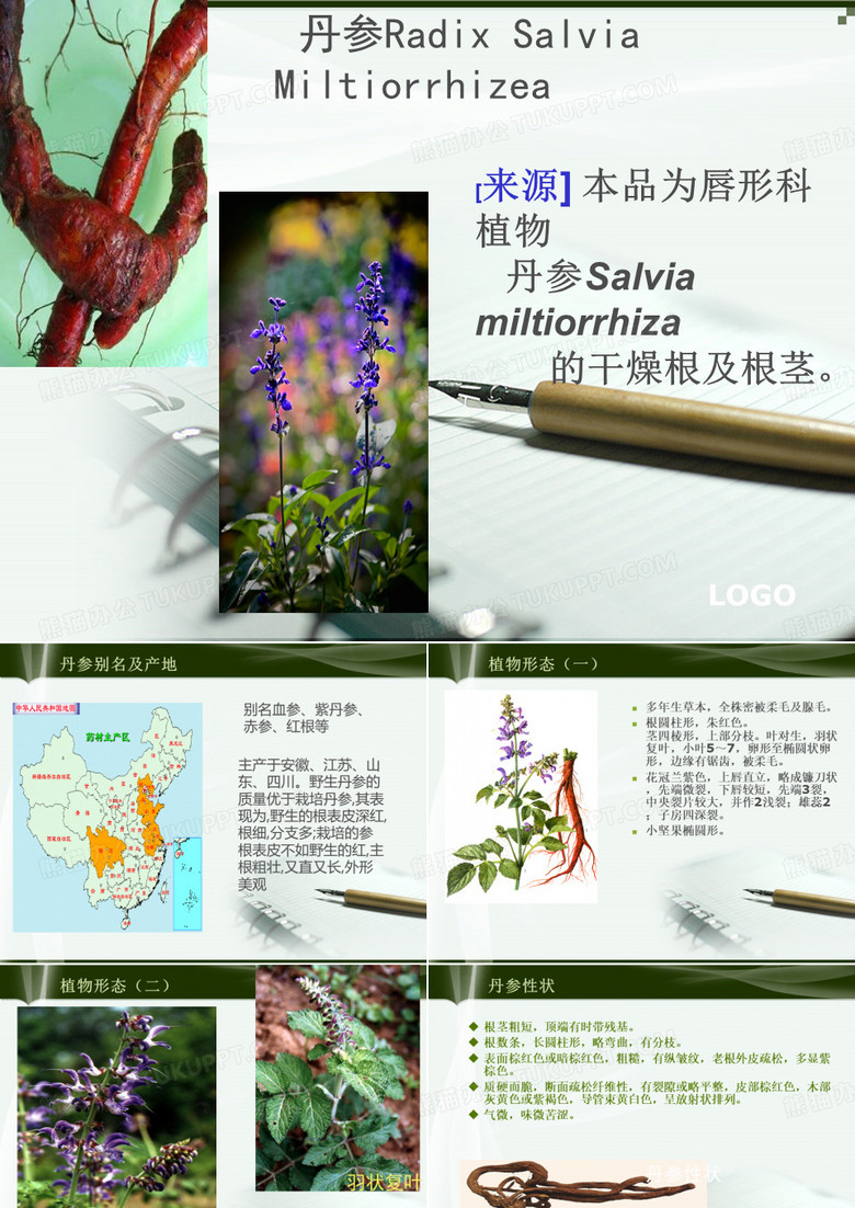 丹参-PPT课件