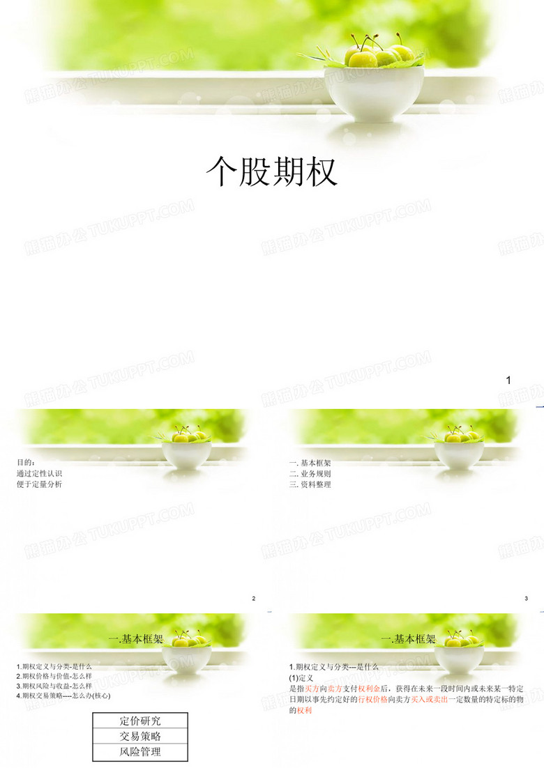 个股期权.ppt