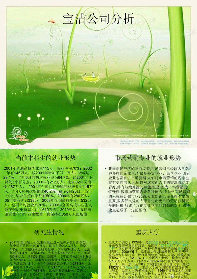 宝洁公司分析