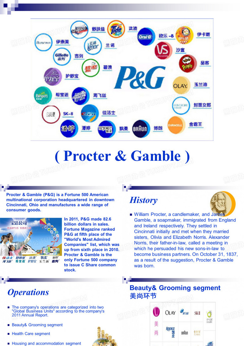 宝洁公司(英文版)