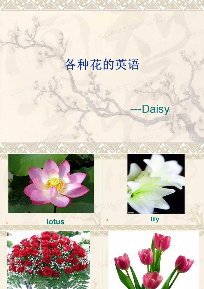 各种花的英语PPT课件