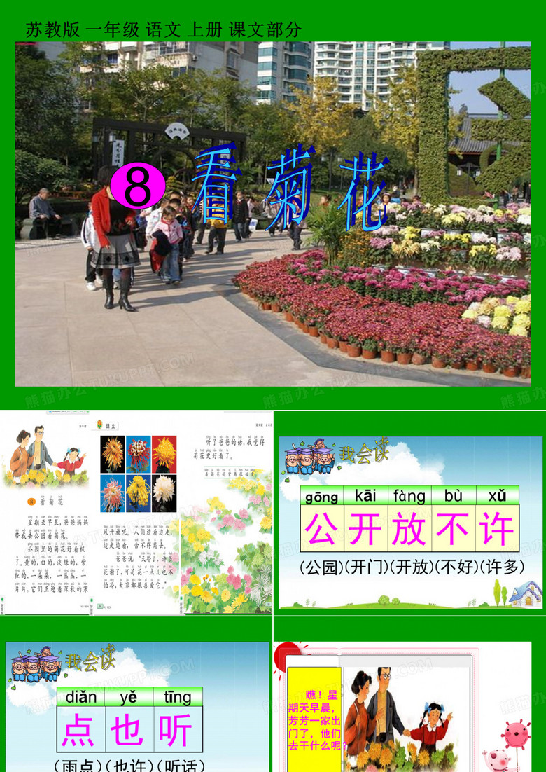 8《看菊花》PPT课件