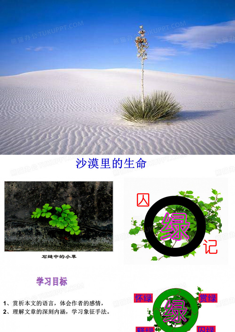 《囚绿记》