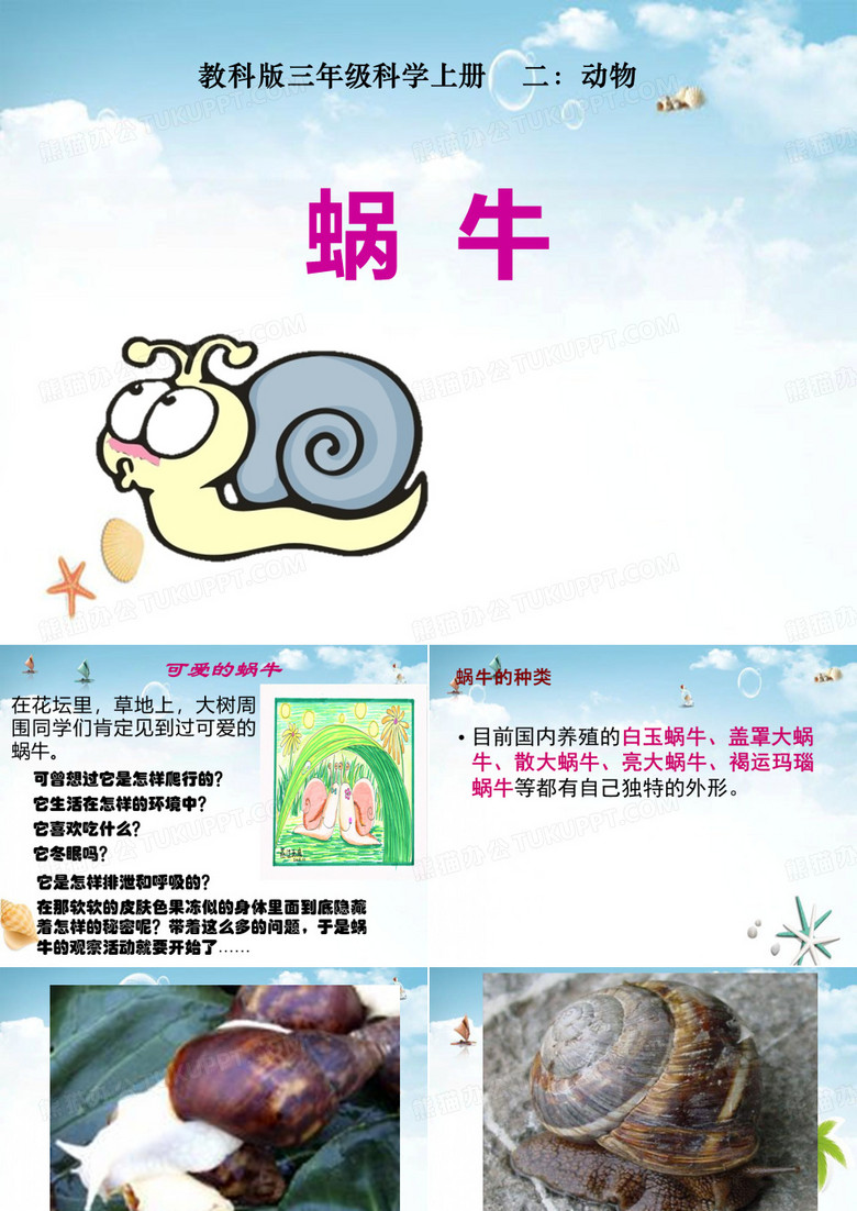《蜗牛》动物2 精选优质课件