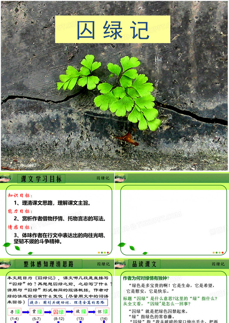 囚绿记