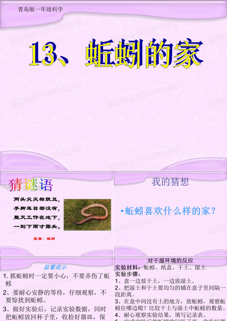 一年级科学下册13《蚯蚓的家》