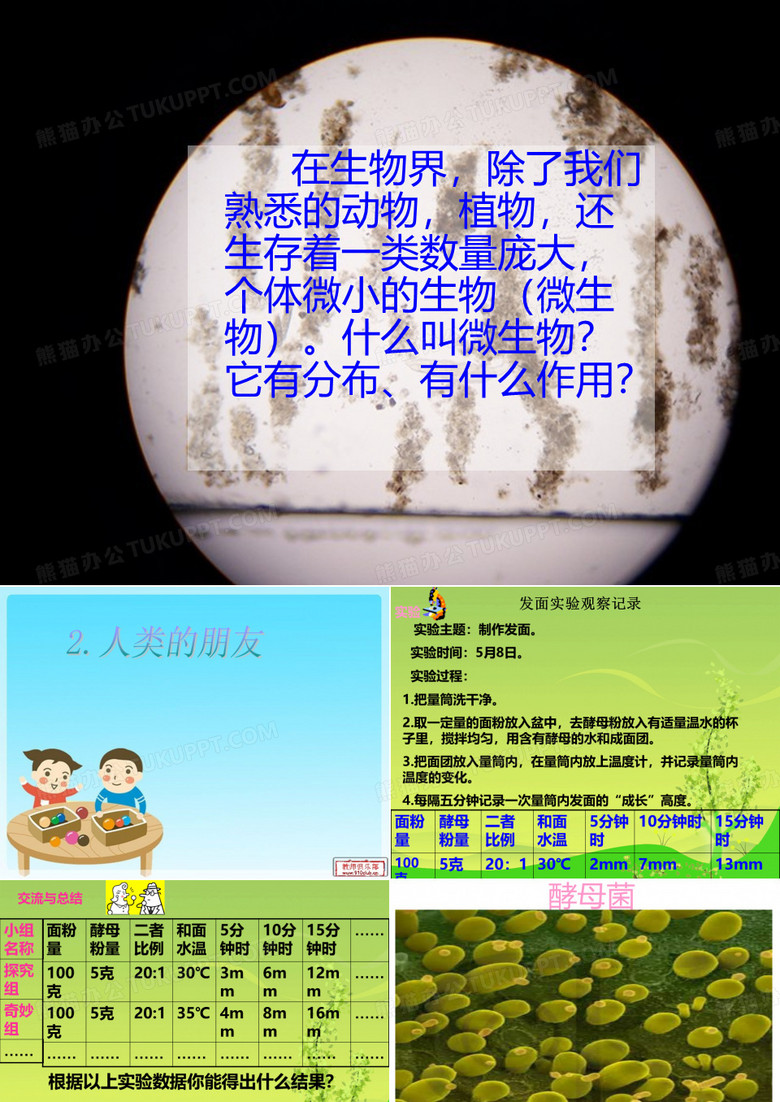 人类的朋友