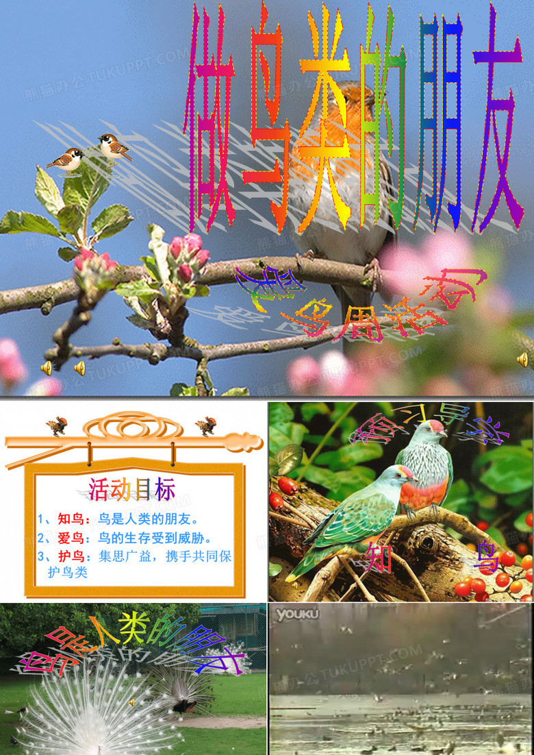 鸟-人类的朋友