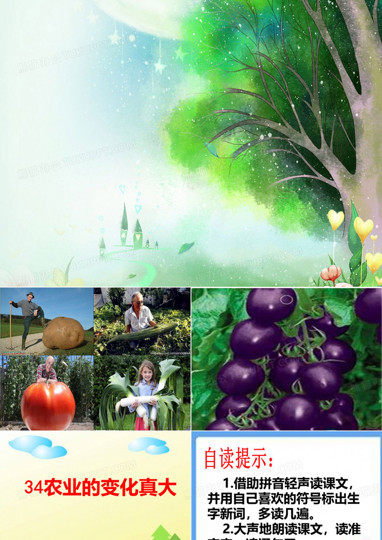 农业的变化真大第一课时
