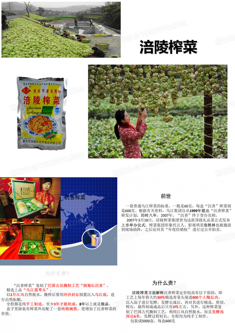 涪陵榨菜案例分析---