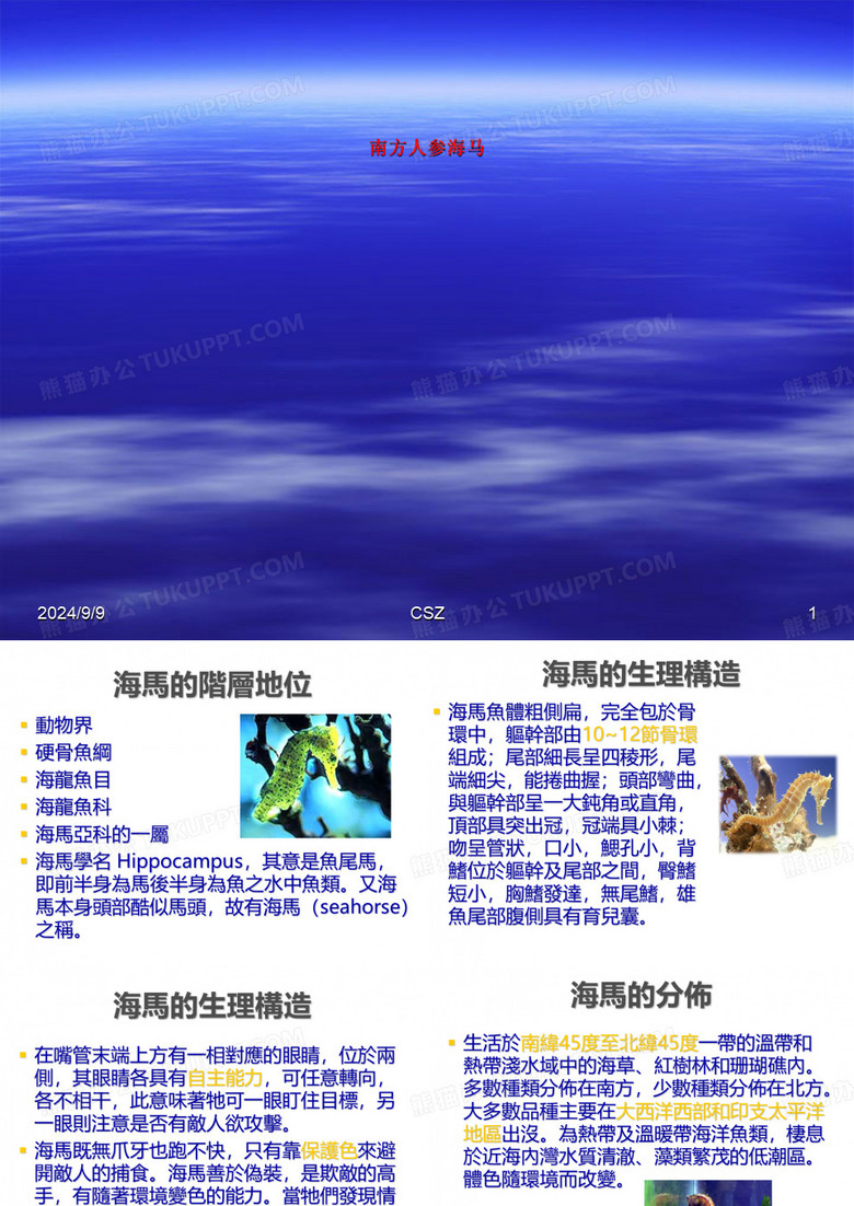 南方人参海马