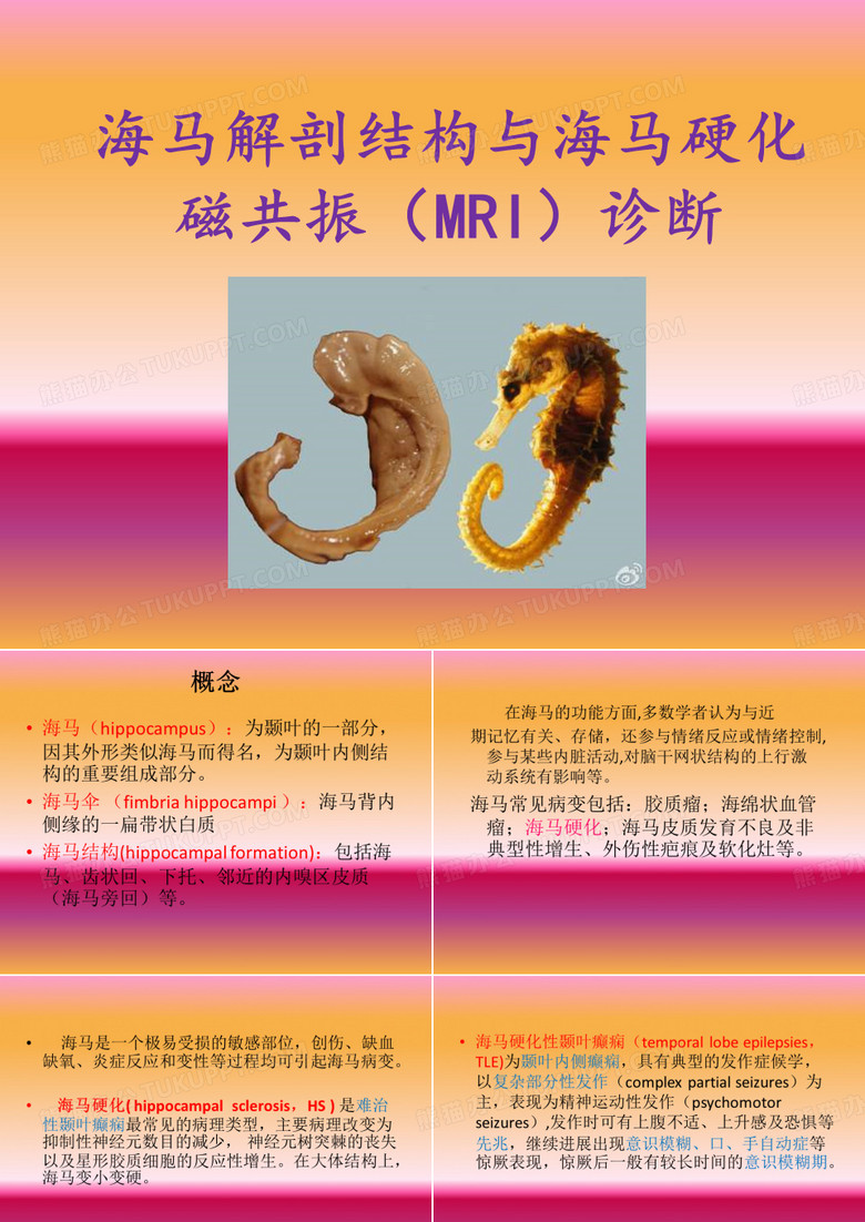 海马解剖结构与海马硬化磁共振(MRI)诊断