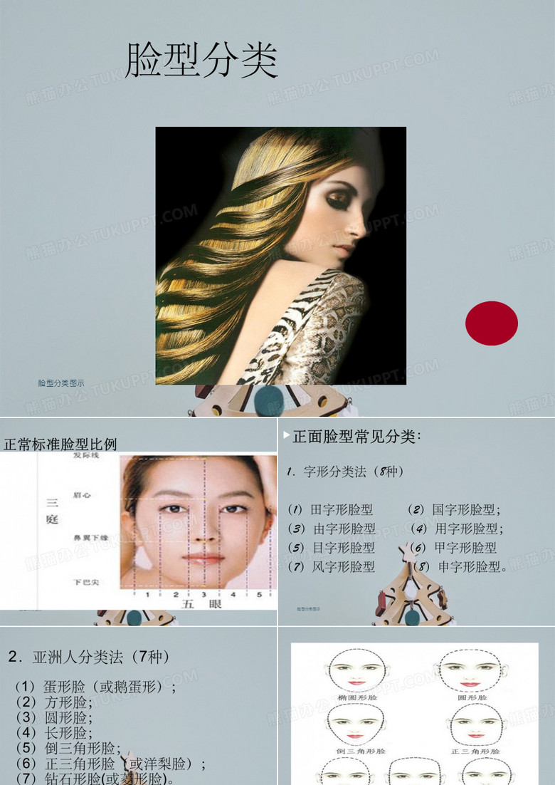 脸型分类图示