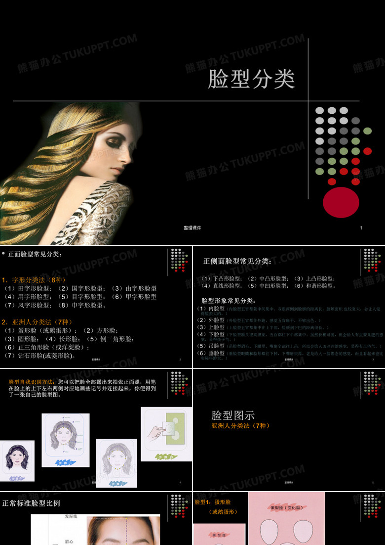 脸型分类图示