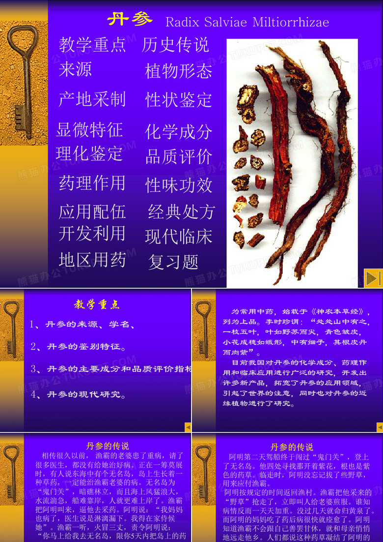 丹参ppt课件