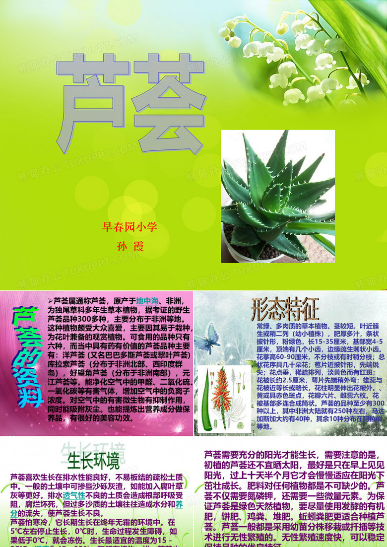 芦荟