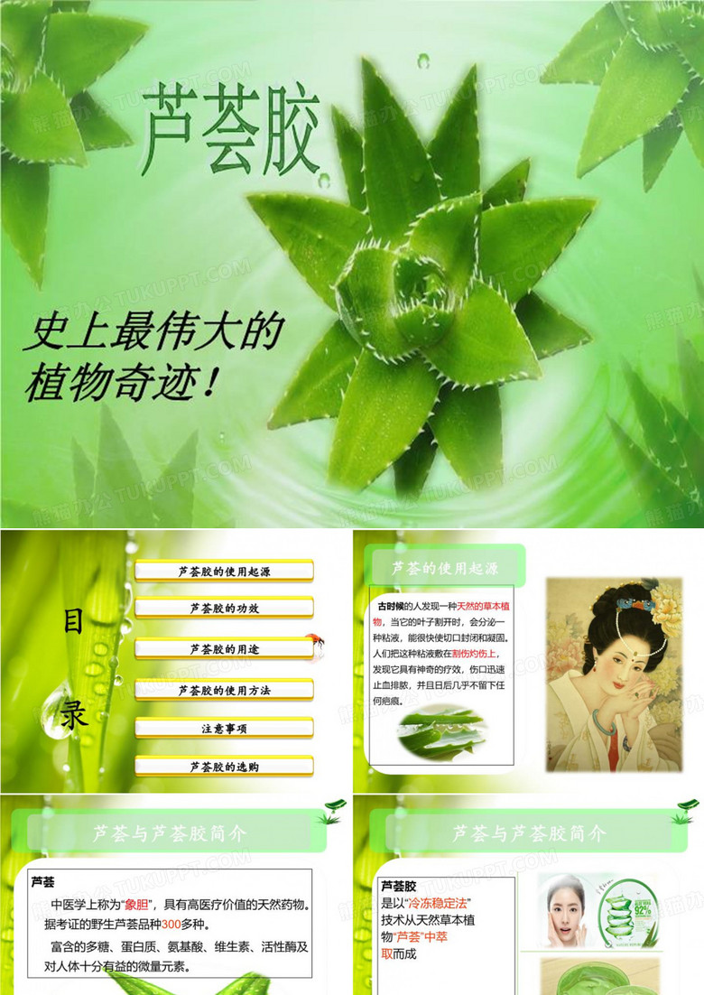 芦荟胶PPT