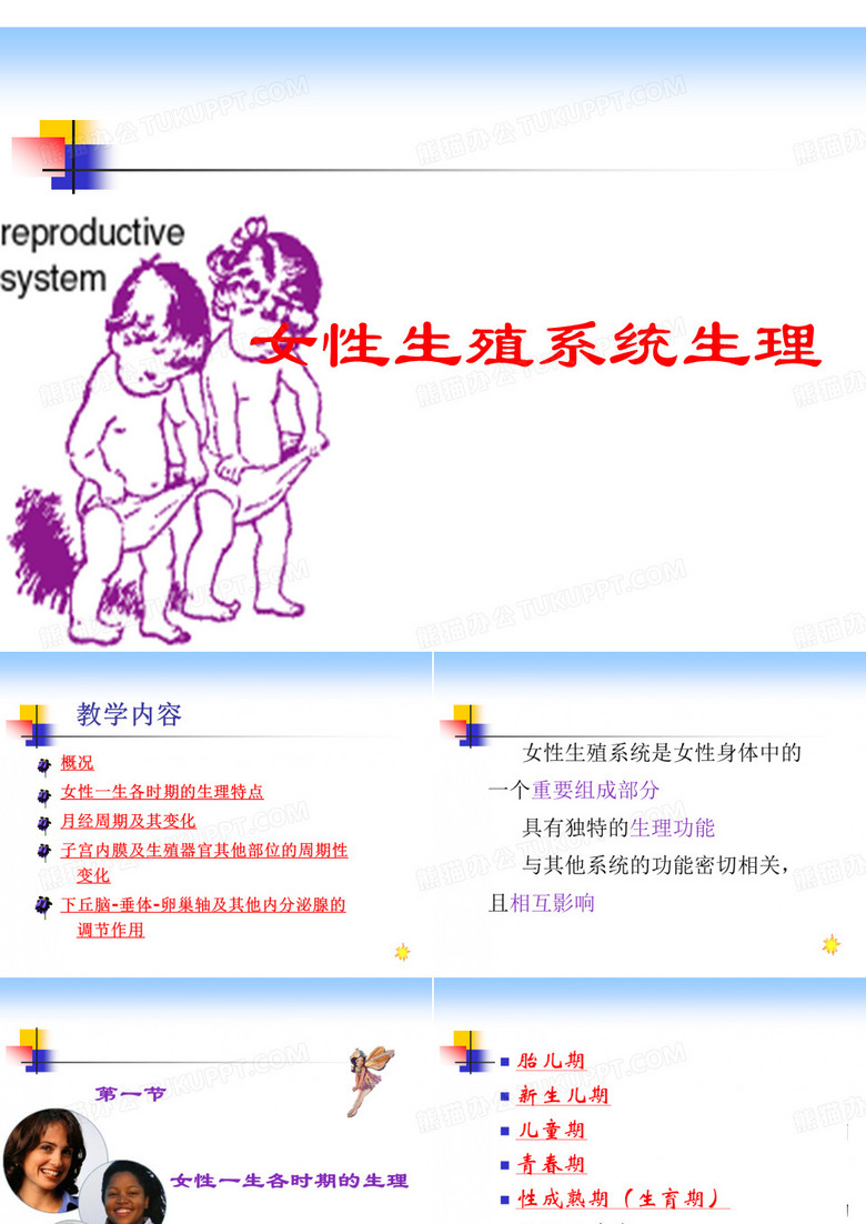 女性生殖系统生理