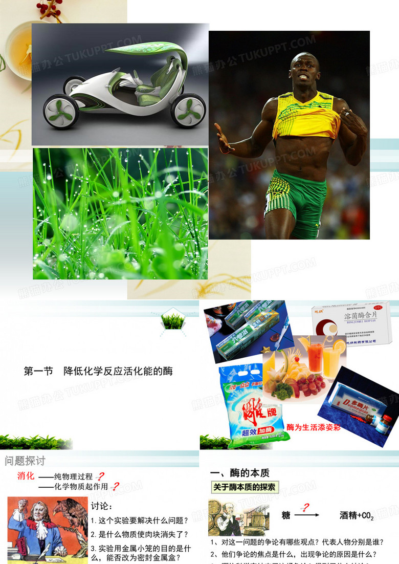 .-降低化学反应活化能的酶
