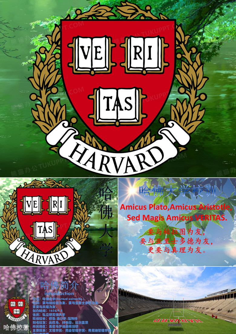 哈佛大学介绍分析