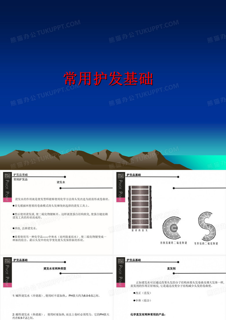 最新常用护发基础PPT课件
