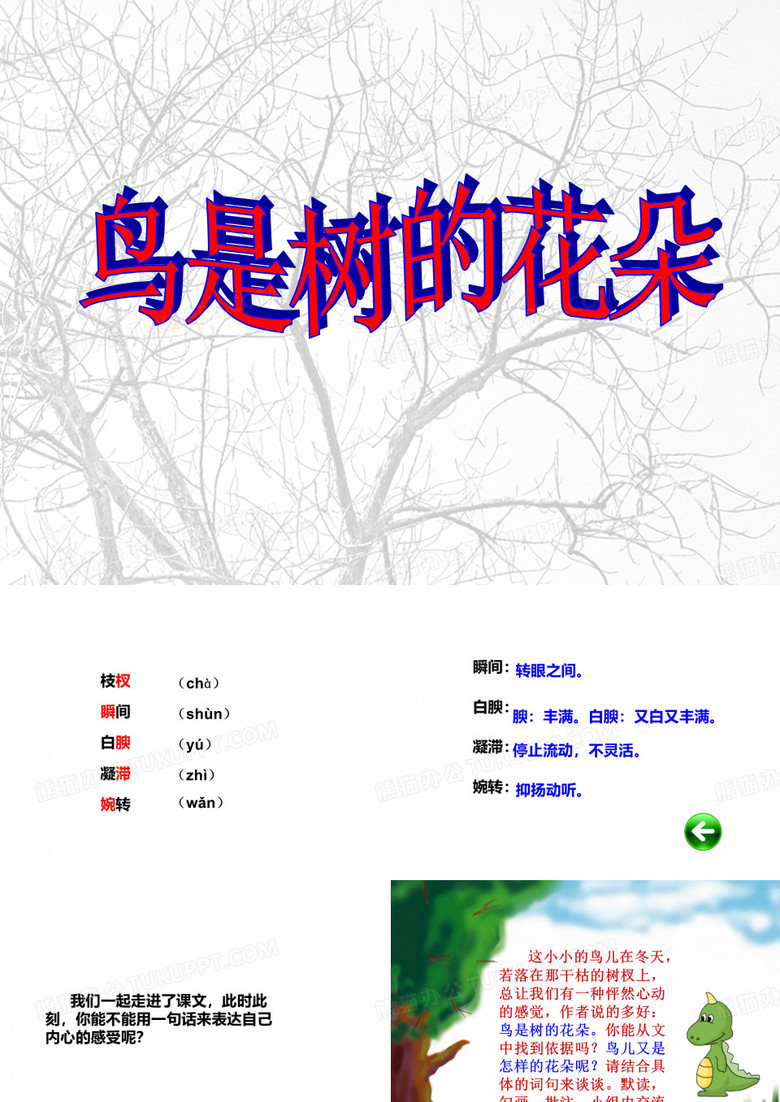 鸟是树的花朵课件