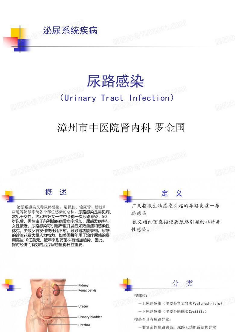 泌尿系感染