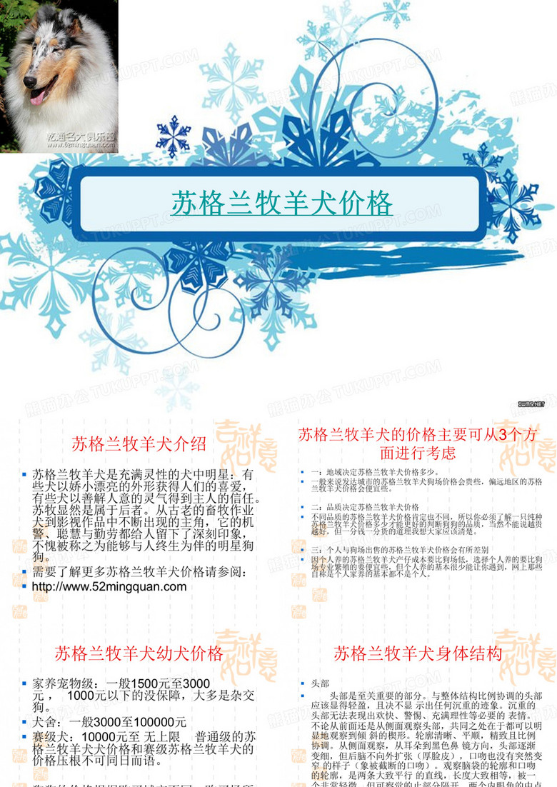 苏格兰牧羊犬价格