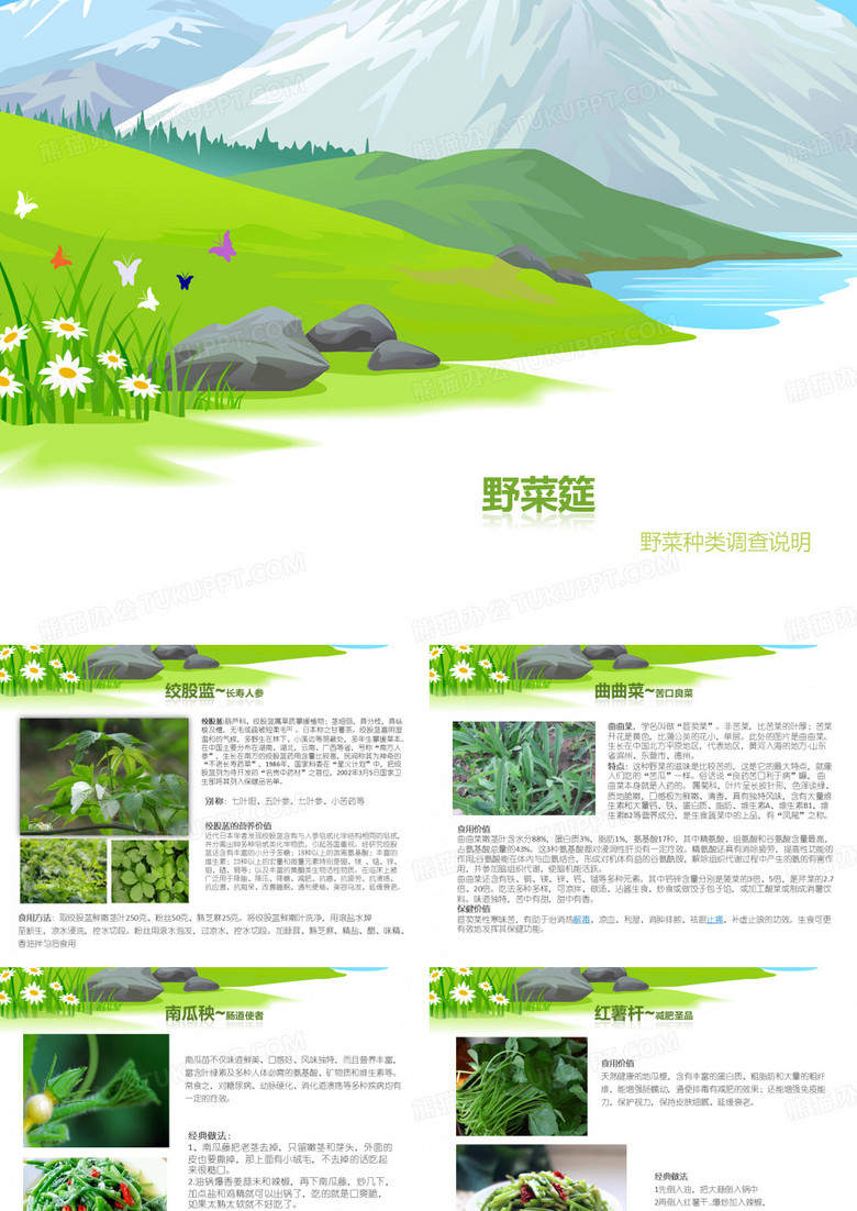 野菜调查