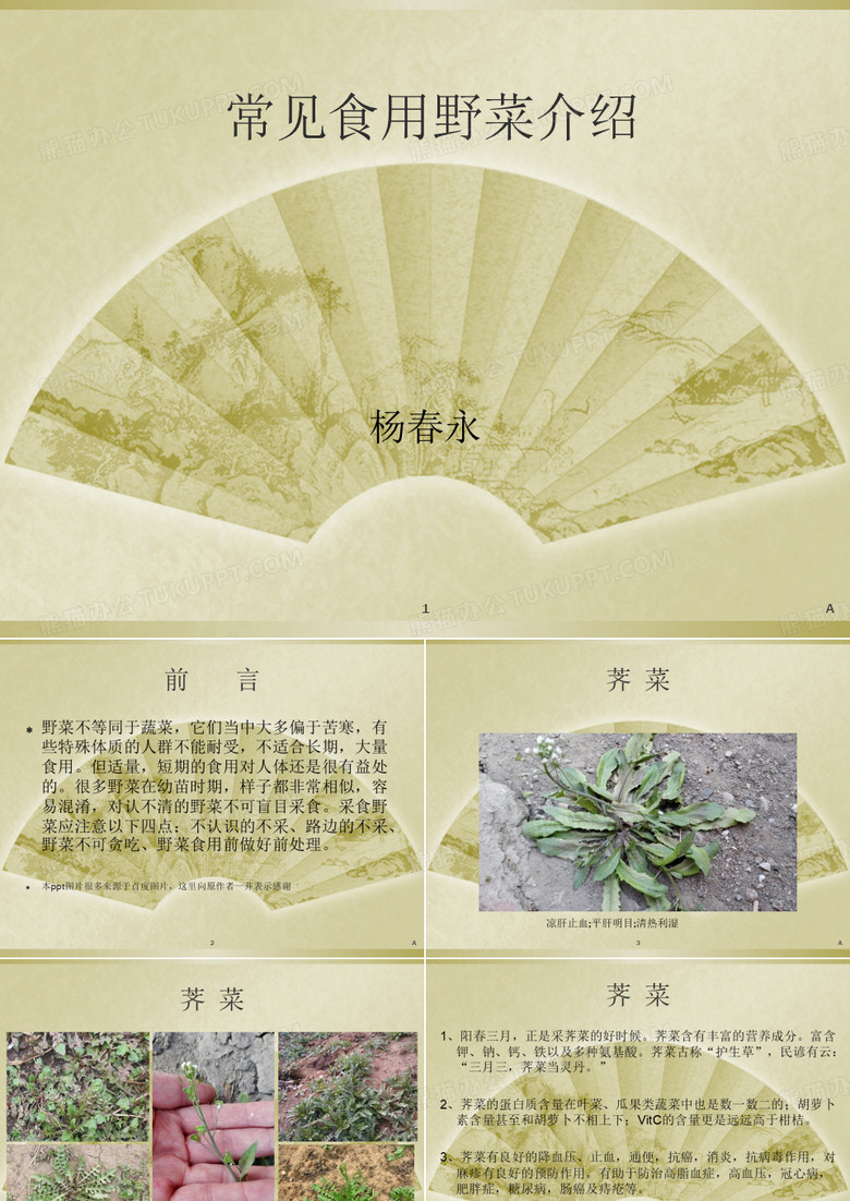 常见食用野菜