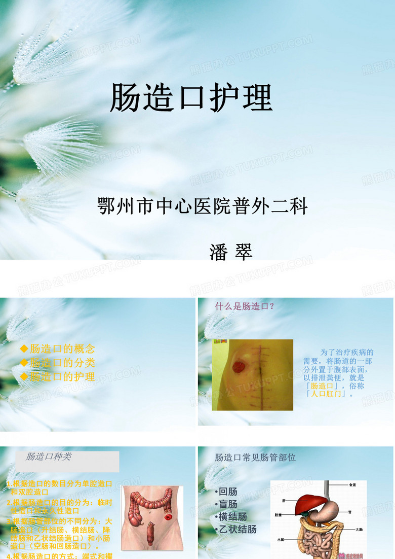 肠造口护理