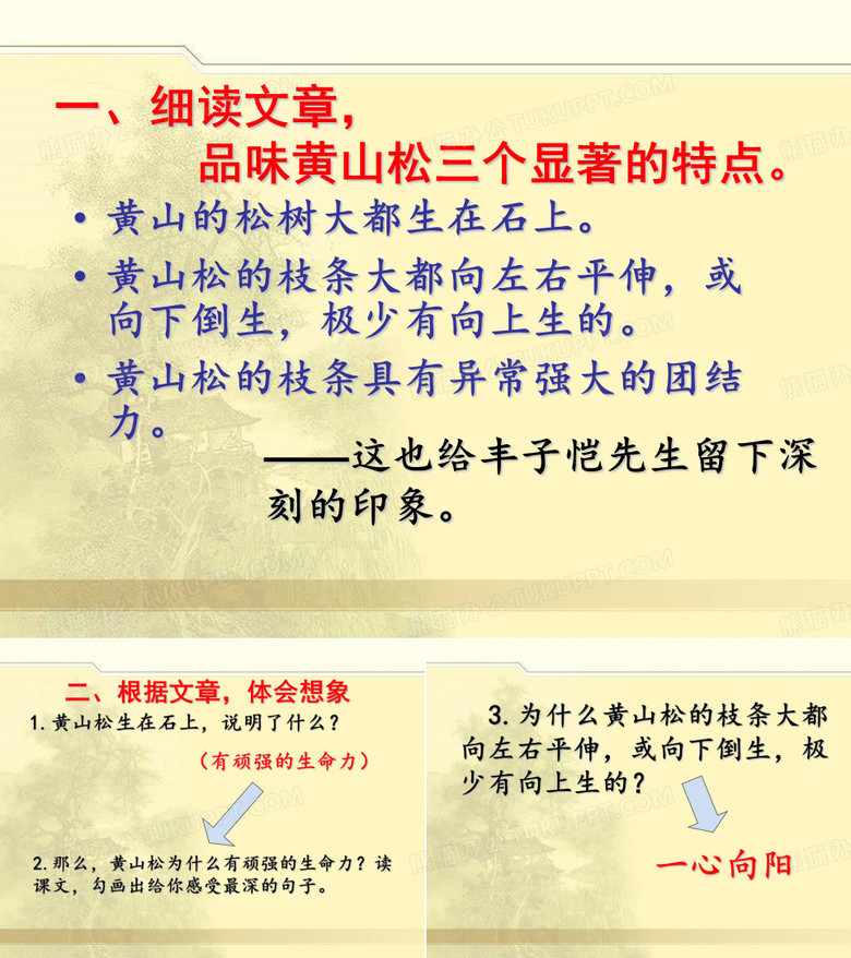 《黄山松》文章细读分析