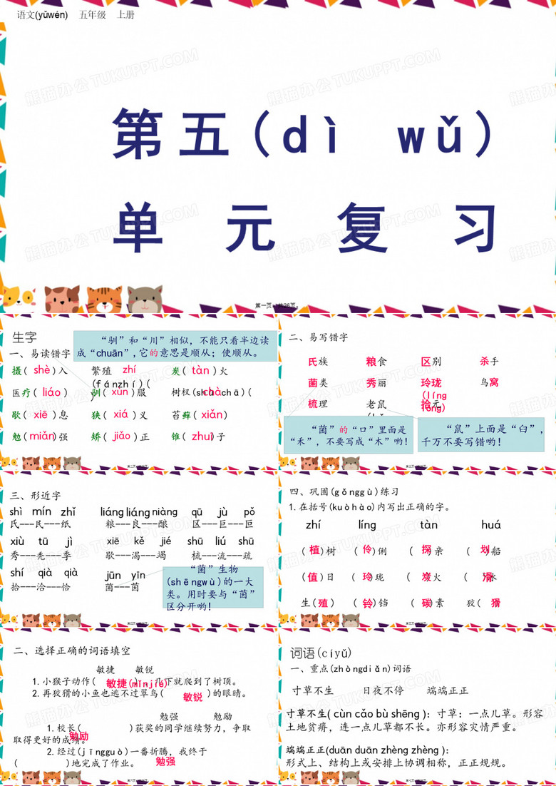 五年级【语文上册】第五单元复习