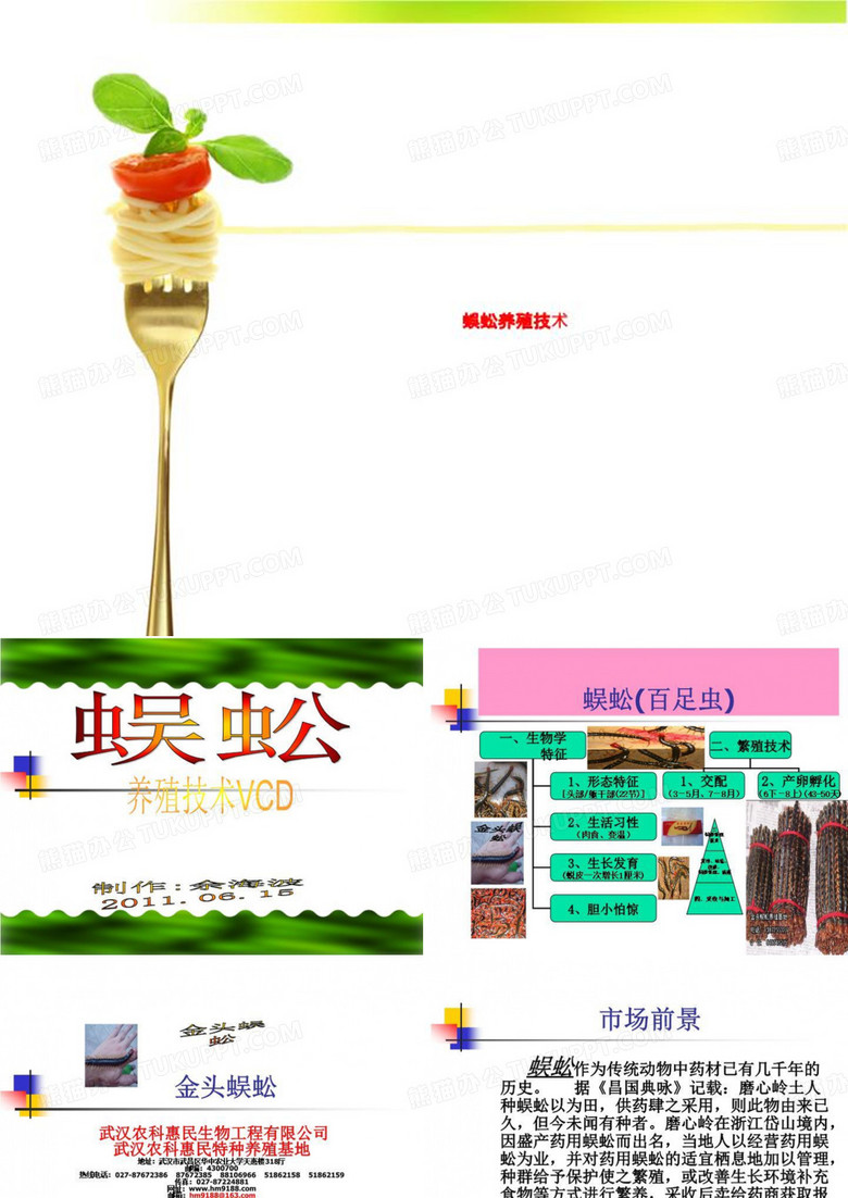 蜈蚣养殖技术