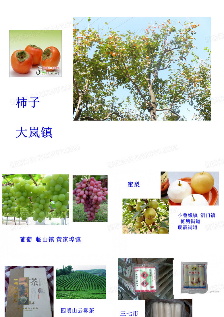 《亲近余姚》之《说说身边的土特产》