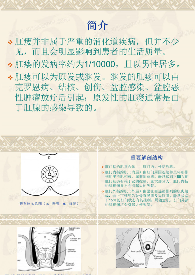 肛瘘的表现