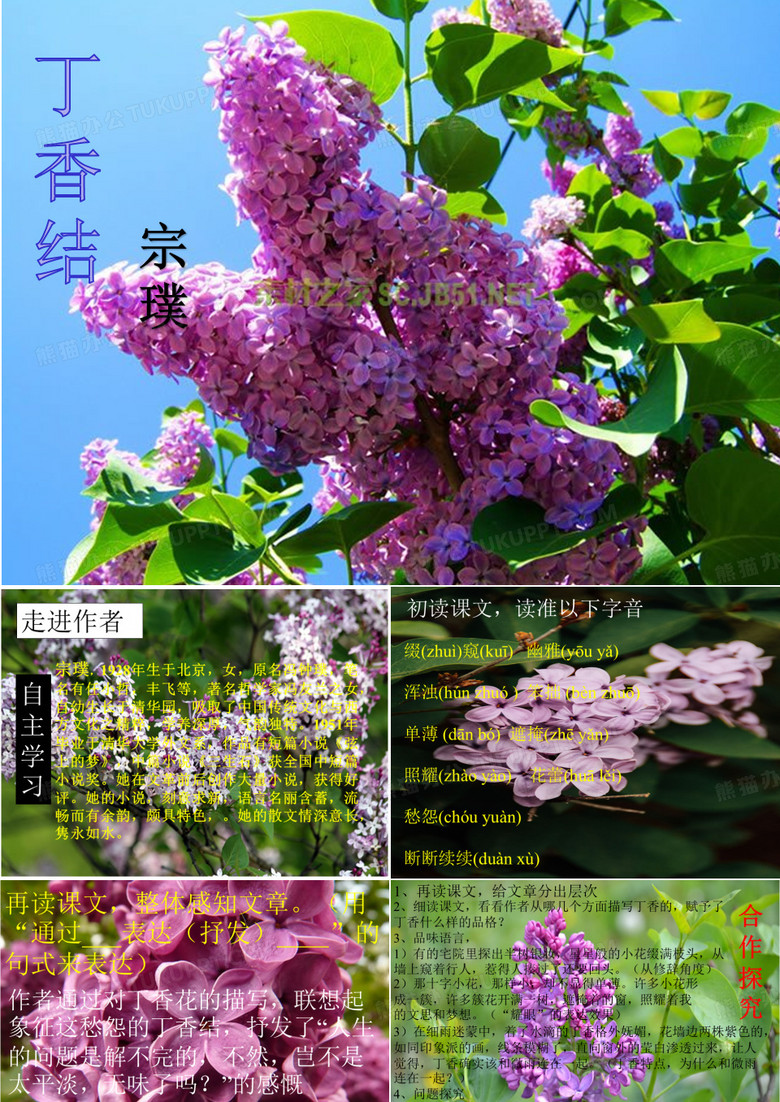 丁香结