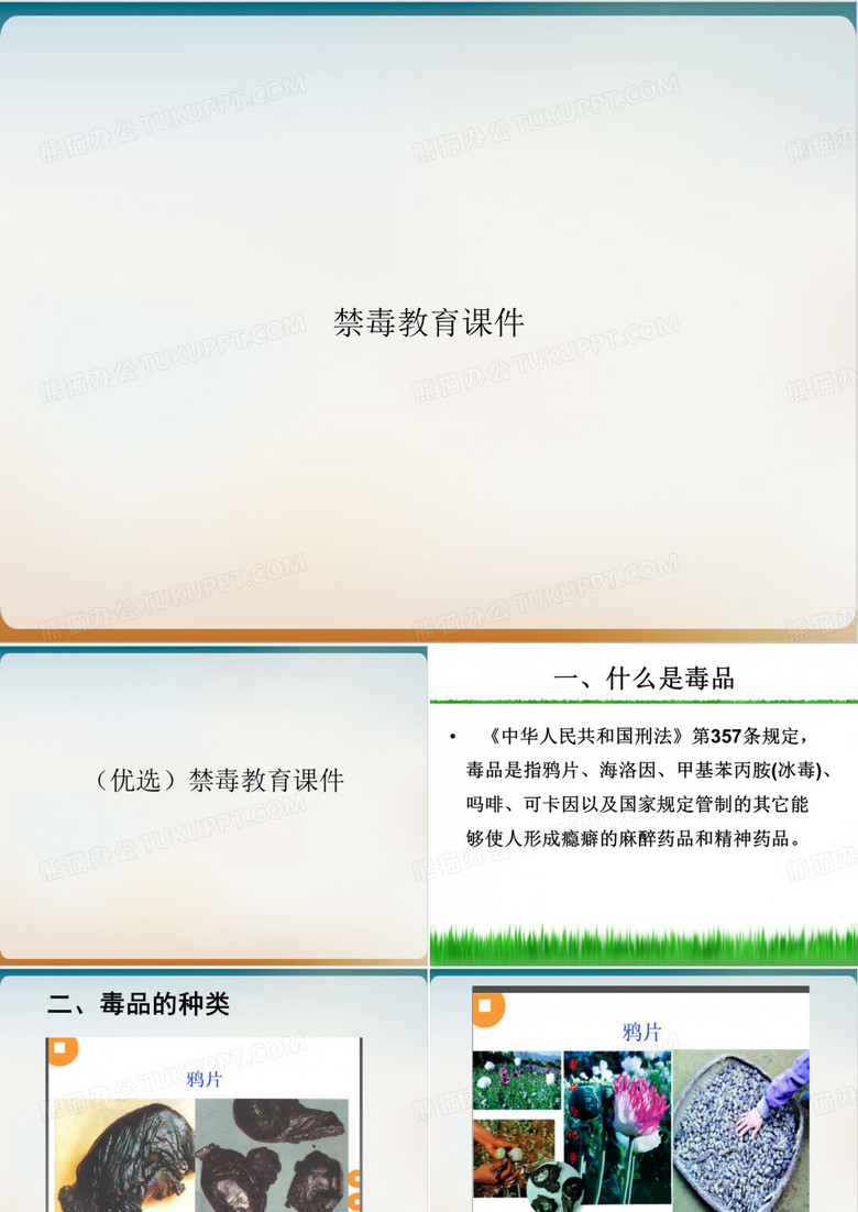 禁毒教育课件PPT优质课件-实用PPT