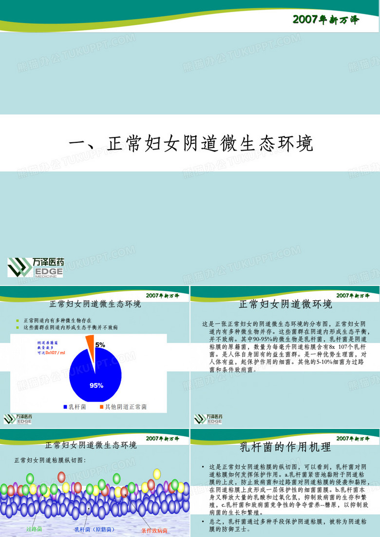产后妇女保健教育幻灯片-PPT课件